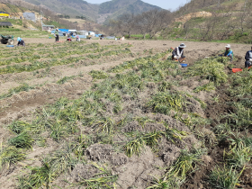 바이퓨어-경희한약, 고품질 한약재 확보 위한 산지 점검