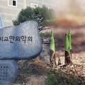 동서비교한의학회, 죽순서 줄기세포 활성 폴리아민·엑소좀 추출