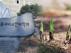 동서비교한의학회, 죽순서 줄기세포 활성 폴리아민·엑소좀 추출