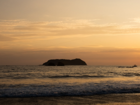 한의학 교육의 현재와 미래Ⅱ ⑭