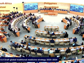 한국의 절차적 기여와 한의약의 의의