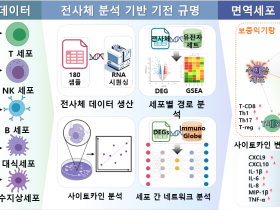 보중익기탕, 면역세포 사이 소통 조절로 면역항암제 효과↑