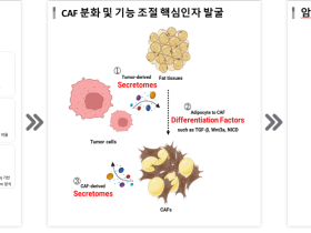 경희대 한의대 엄재영 교수, ‘글로벌 기초연구실 지원사업’ 선정