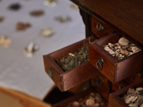 “한약사가 전화 받고 택배로 한약 판매 한 것은 약사법 위반”