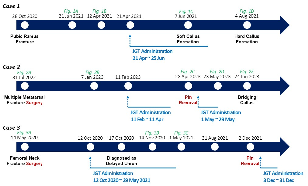 한의학연 접골탕 연구_1.png