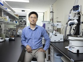 ㈜비체담, 한방 퇴행성 질환 치료제 후보물질 임상 ‘승인’