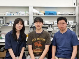 연구모델 및 노화 따른 뇌손상 영향 밝혀