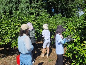 심평원 제주본부, 농촌 일손돕기 봉사활동 실시