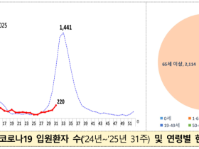 질병청, 코로나19 5주 연속 증가에 관계부처-전문가 합동 점검