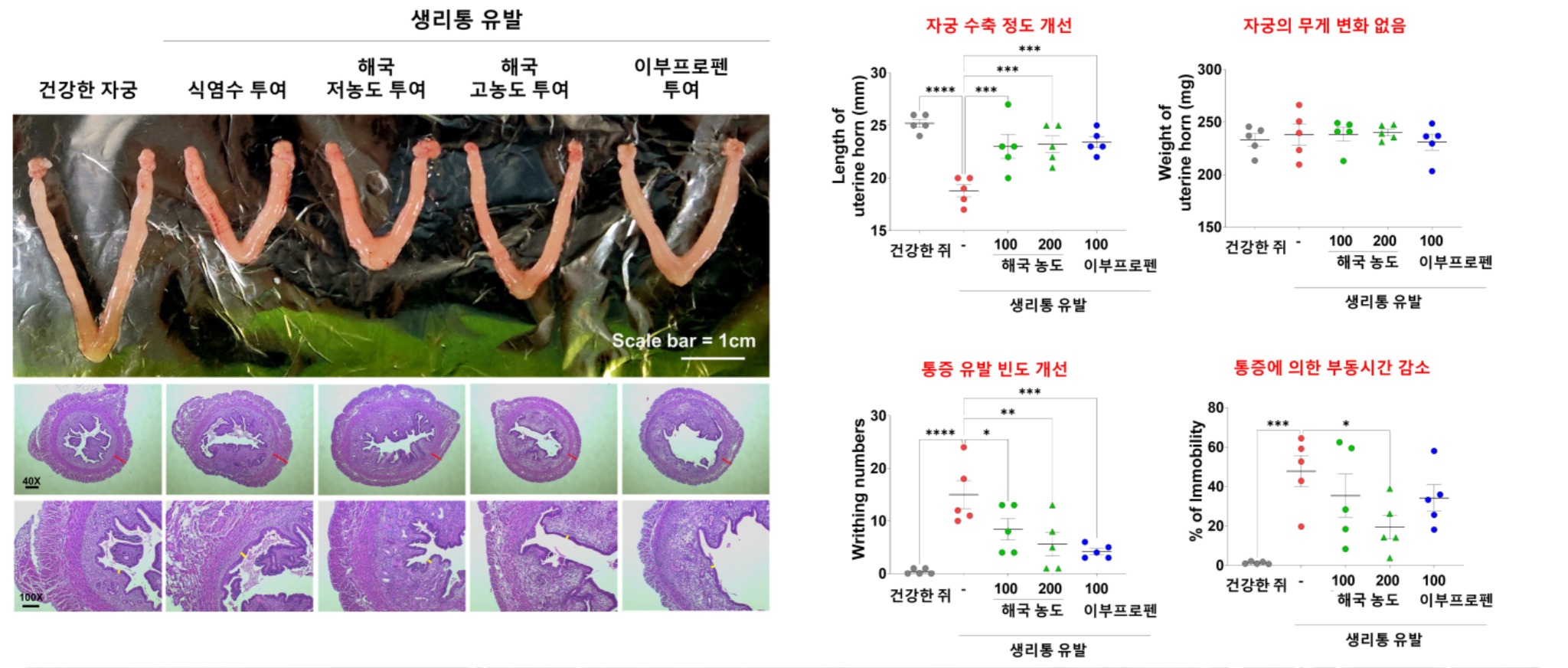 (그림1) 연구결과 이미지.jpg