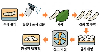 한약재 ‘백강잠’ 국산화 기술 기반 구축