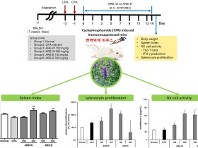 제주곽향, 면역억제 회복 효능 가능성 ‘입증’