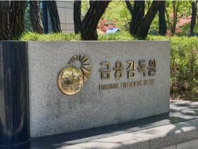 금융감독원 “보험사기 취약한 실손보험 기획조사 강화”