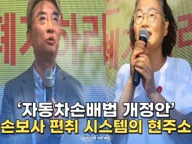 [자막뉴스] '자동차손배법 개정안' 손보사 편취 시스템의 현주소