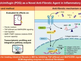 한약 유래 ‘장 섬유화’ 치료 가능성 제시