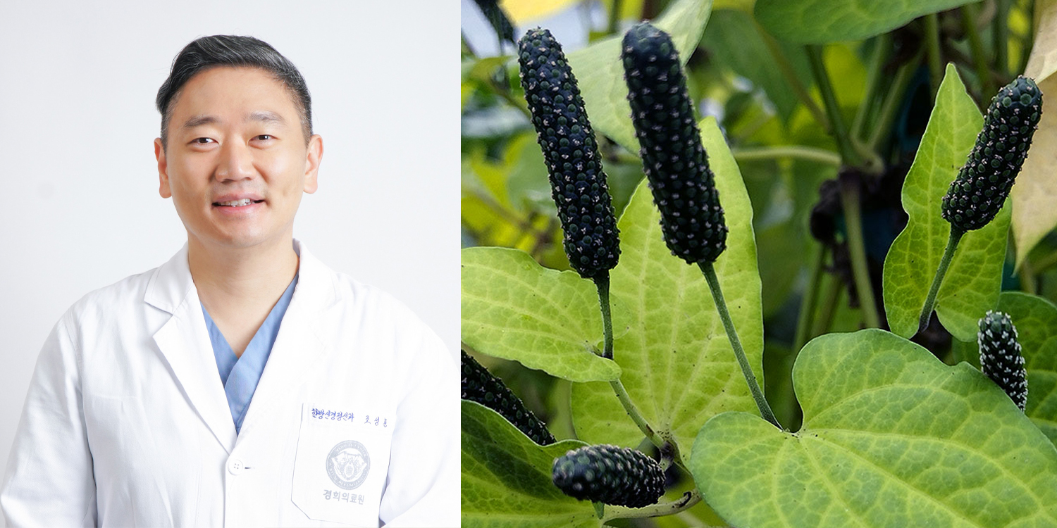 한방신경정신과학회 필발.jpg