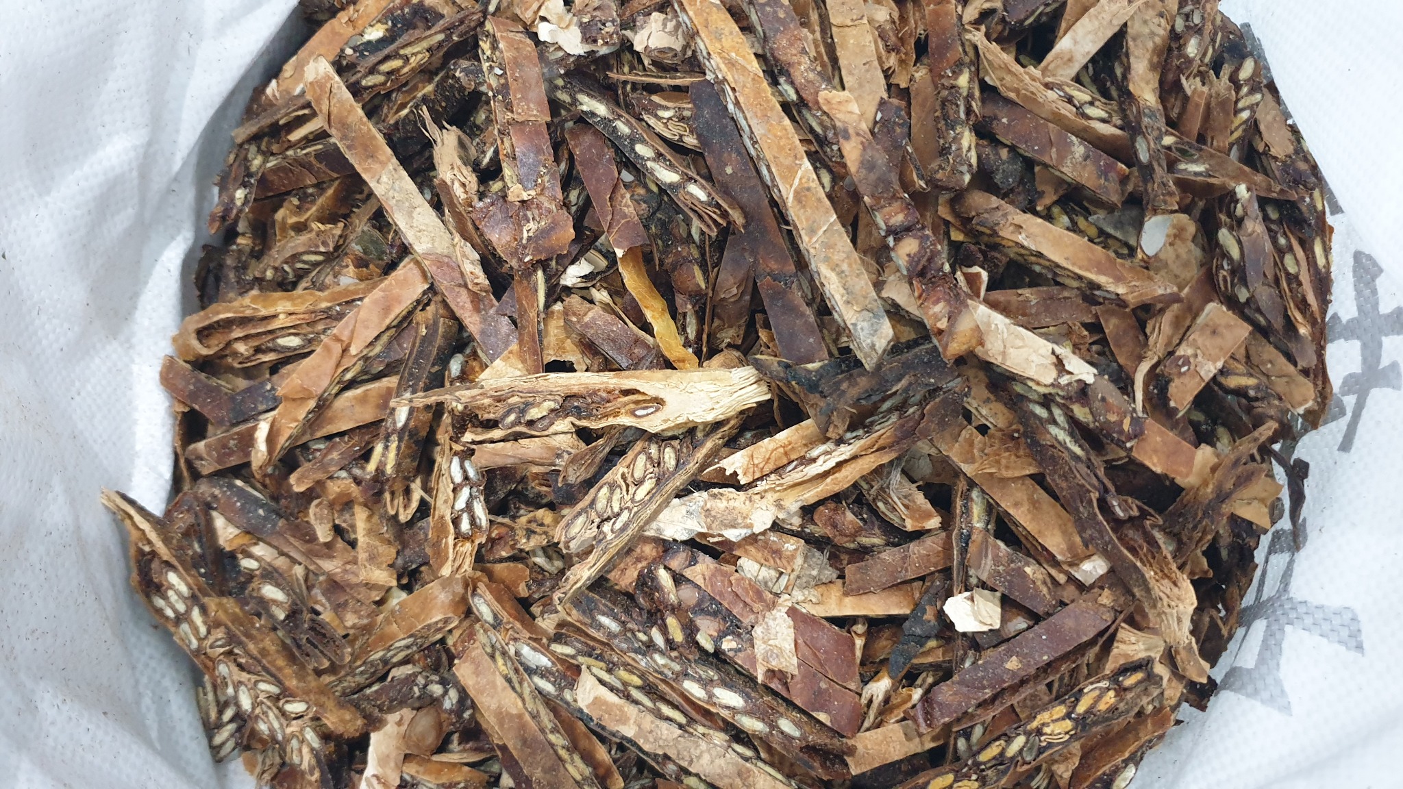 사진 5 둥근 괄루인을 압착해서 길게 자른 모습 20250622_090446 ©박종철.jpg