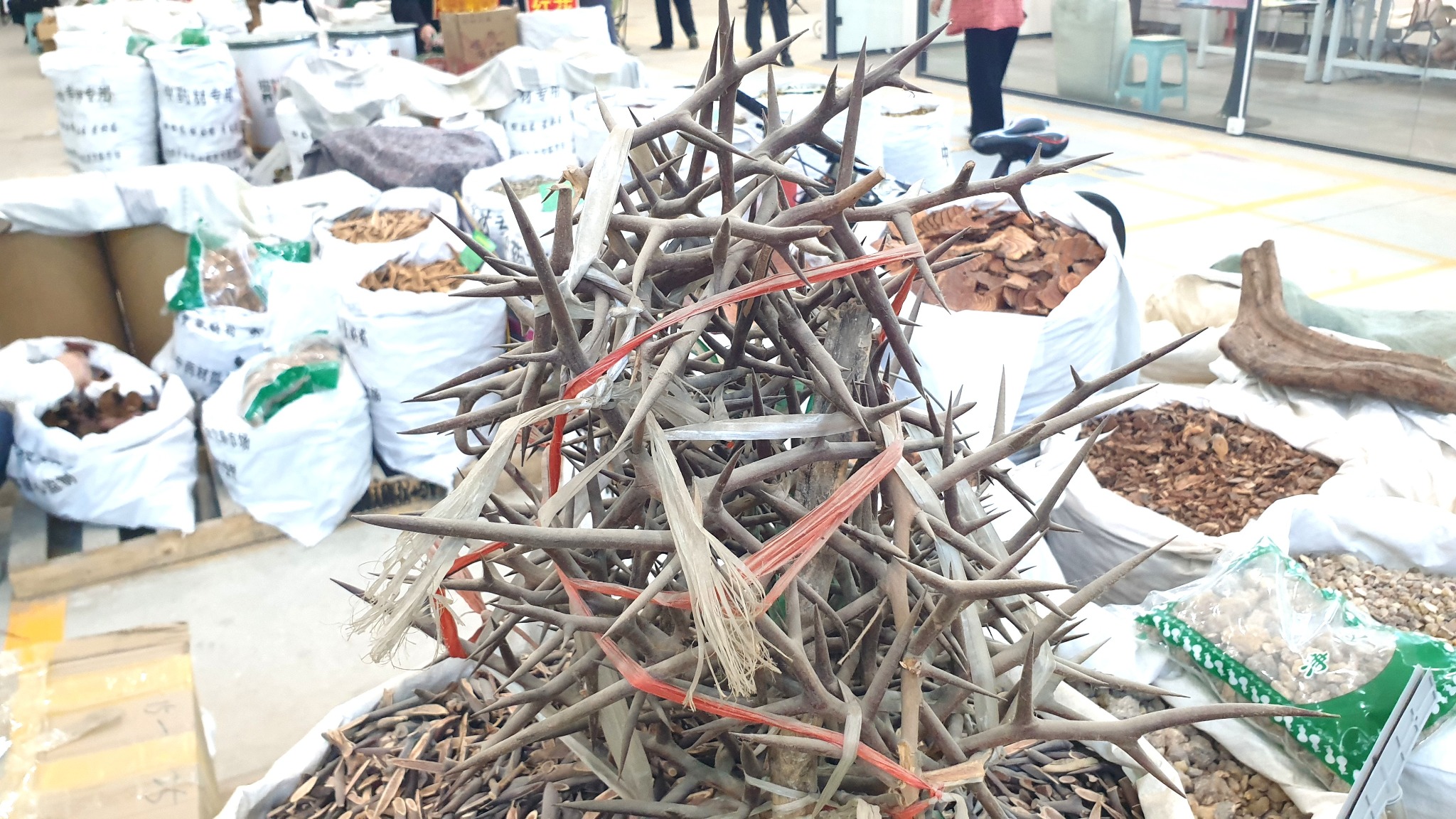 사진 8 안국약재시장에서 팔고 있는 조각자 20250622_095006©박종철.jpg