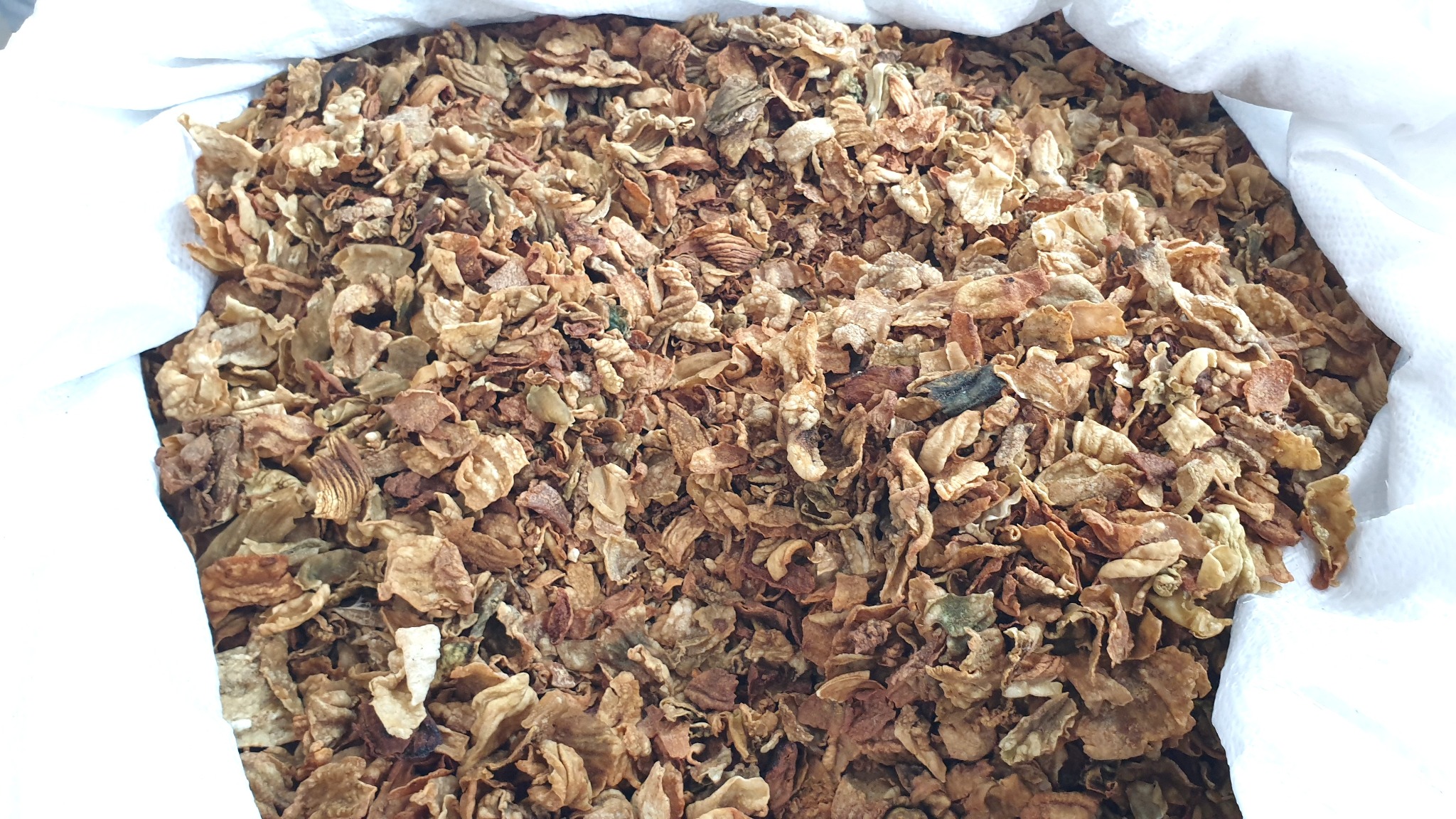 사진 9 닭 모래주머니의 내막인 계내금 20250920_135825 계내금©박종철.jpg