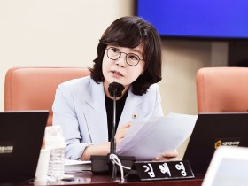 외국인환자 대상 미용성형 부가세 환급제도 연장 촉구