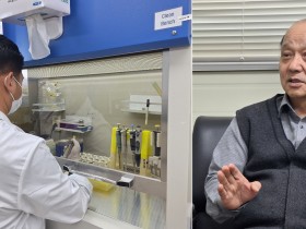 “사향의 생명공학적 재해석…공진단, 탕제로 진화”