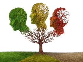 한의약 치매 건강증진사업 성과, SCI 국제학술지 게재