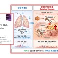 정상 산소에서도 진행되는 폐섬유화의 숨은 원인 첫 규명