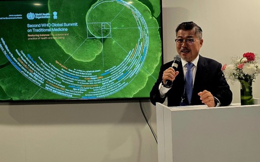 김호철 교수, WHO 전통의학 글로벌 서밋서 ‘K-성장 과학’ 발표