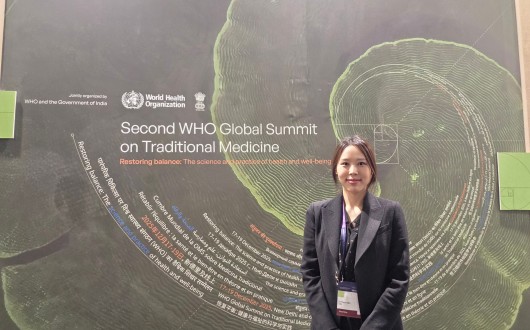 WHO Global Summit on Traditional Medicine 中