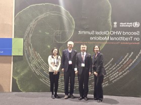 WHO Global Summit on Traditional Medicine 下