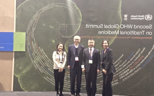 WHO Global Summit on Traditional Medicine 下
