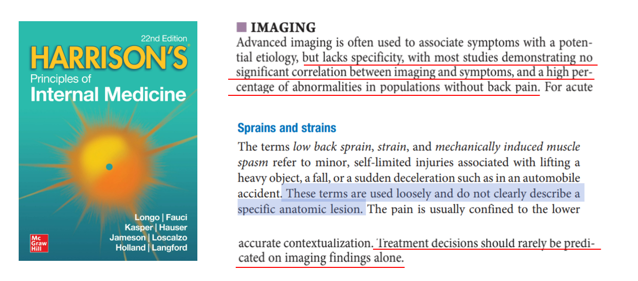 이규황 기고문3.png