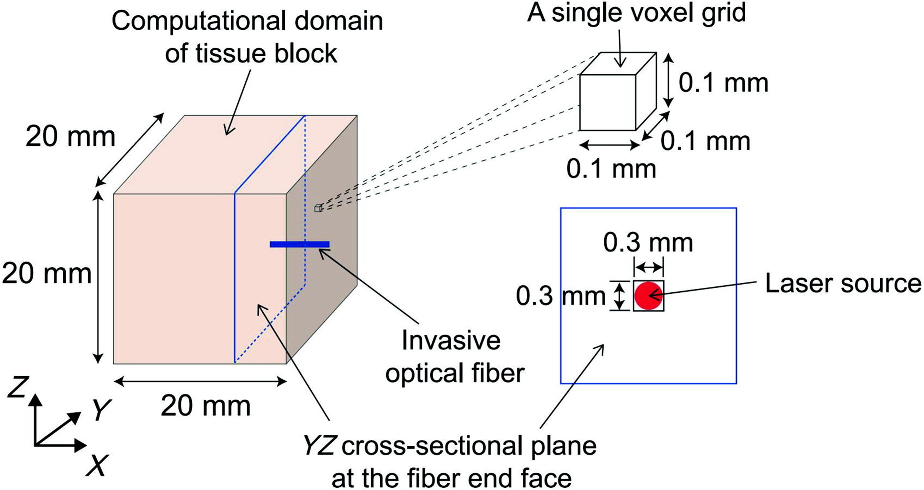 레이저 기반 한의 치료기술의 정량화·안전성 평가 기반 마련