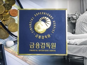 “금감원, 보험사 편인가 국민 편인가”…국회, ‘공공기관’으로 전환 모색