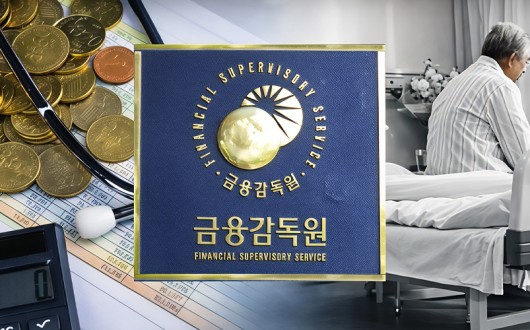 “금감원, 보험사 편인가 국민 편인가”…국회, ‘공공기관’으로 전환 모색