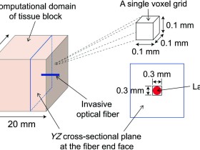 레이저 기반 한의 치료기술의 정량화·안전성 평가 기반 마련