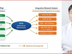 백화사설초, 암 ‘미세환경’ 재구성해 면역 깨운다