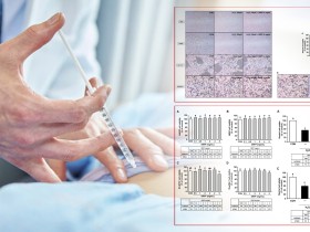 한의약 기반 '성장재생 제제', 줄기세포 보호 입증…"재생의학의 새 가능성"