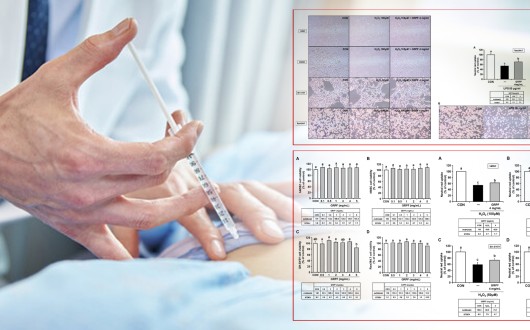 한의약 기반 성장재생 제제, 줄기세포 보호 입증…"재생의학의 새 가능성"