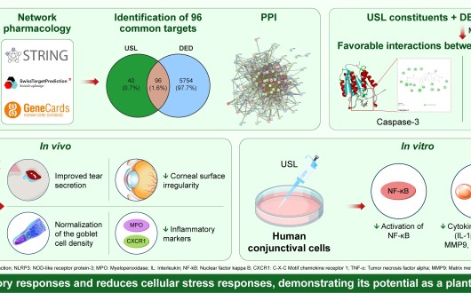 한약재 ‘우슬’의 안구건조증 개선 효과 규명