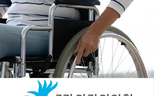 “교통약자의 특별교통수단 이용 심사 시  한의사의 진단서 배제는 잘못”