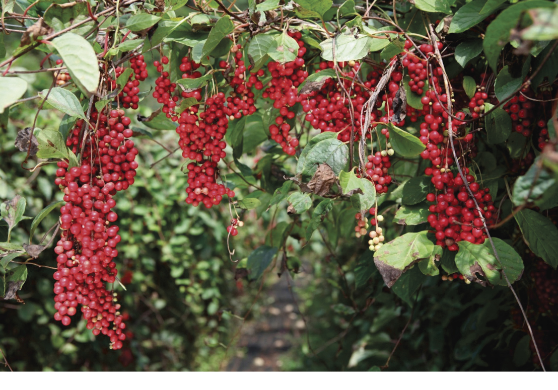 2538-26 김호철.jpg