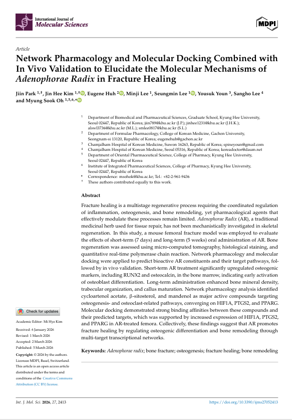 한약재 ‘사삼’, 골절 치유 촉진 효과 입증