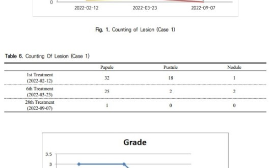 위장관 증상 치료로 모낭염까지 호전된 사례 보고