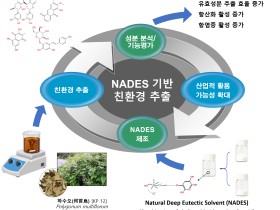 하수오 유효성분 추출, 효율은 높이고 환경 부담은 낮춰