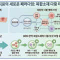 제주한의약연구원, 초고령사회 난제 ‘욕창’ 치료기술 개발 본격화