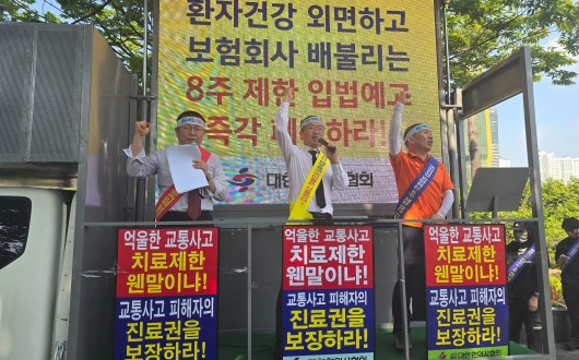 “치료 제한 논의 앞서 상해급수 체계 근본적 개편 이뤄져야”