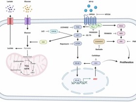 “비소세포폐암 정밀진단 및 맞춤형 치료전략에 새로운 단서 제공”
