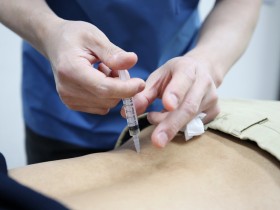 한의치료, 척추 압박골절 환자 통증·기능 개선에 효과적