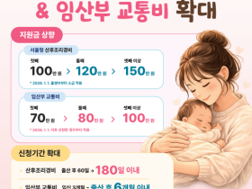 서울시, 다자녀가구 전폭 지원 나선다